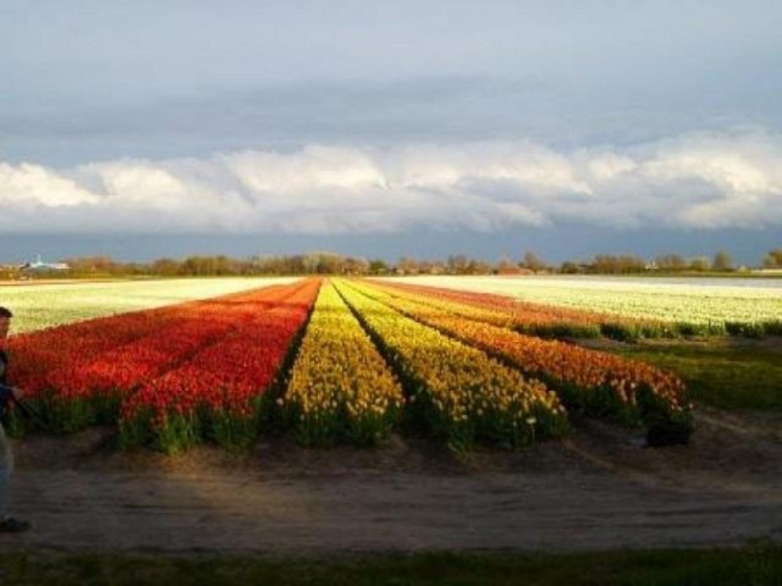 Ruigeweg 100