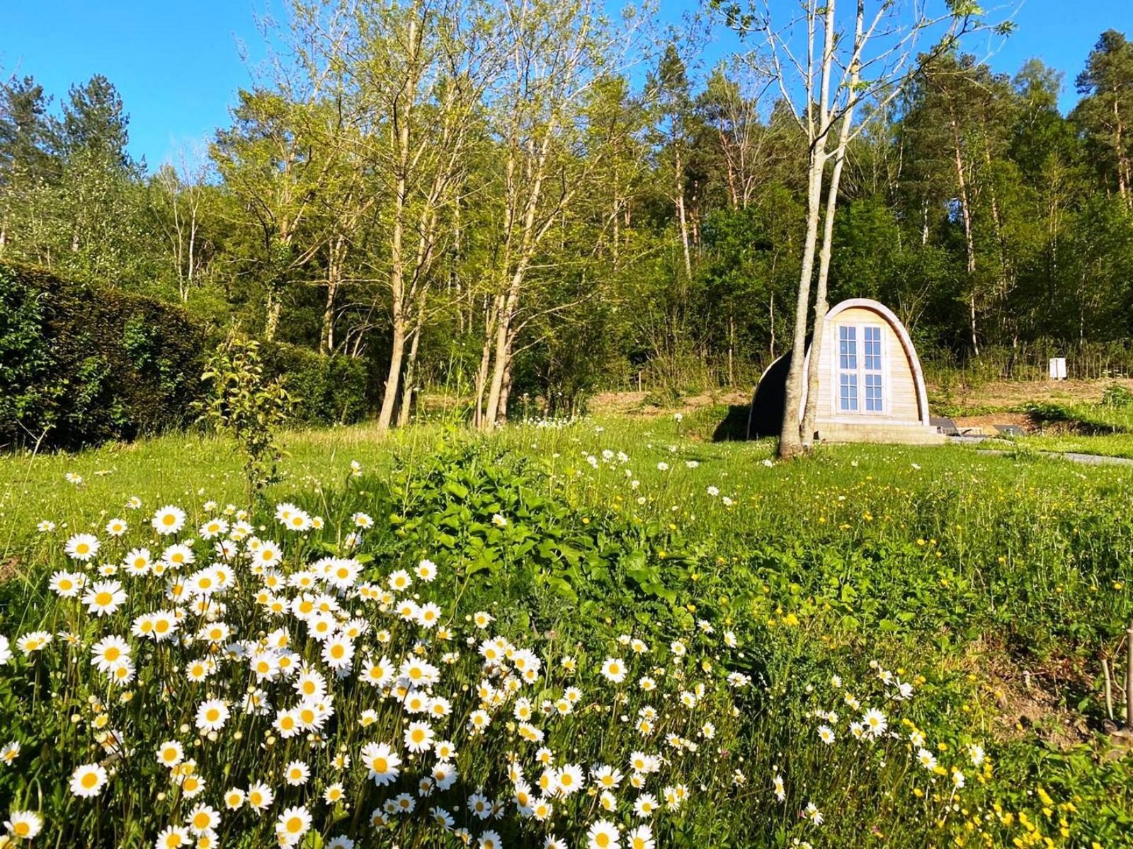 Villa les Pins Ardennen - luxe wellness vakantiehuis voor families