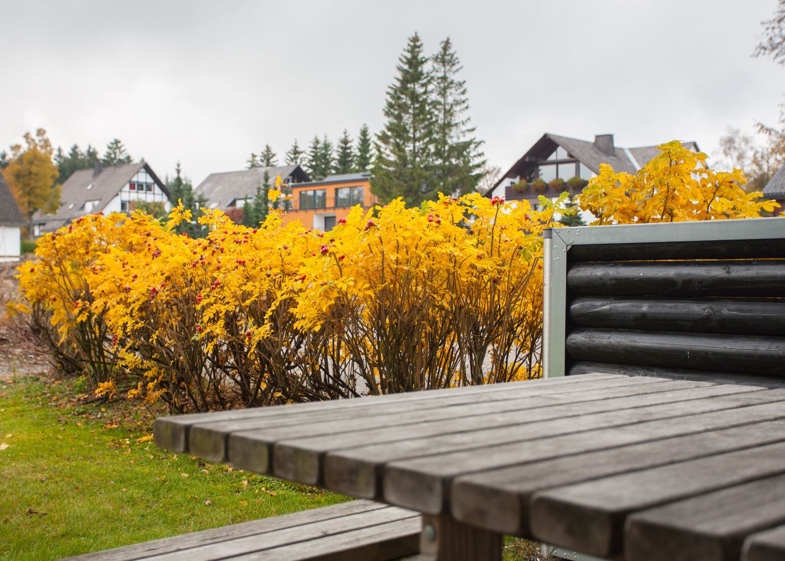 Ferienwohung - Dr. Suren-Strasse 13-4 | Winterberg