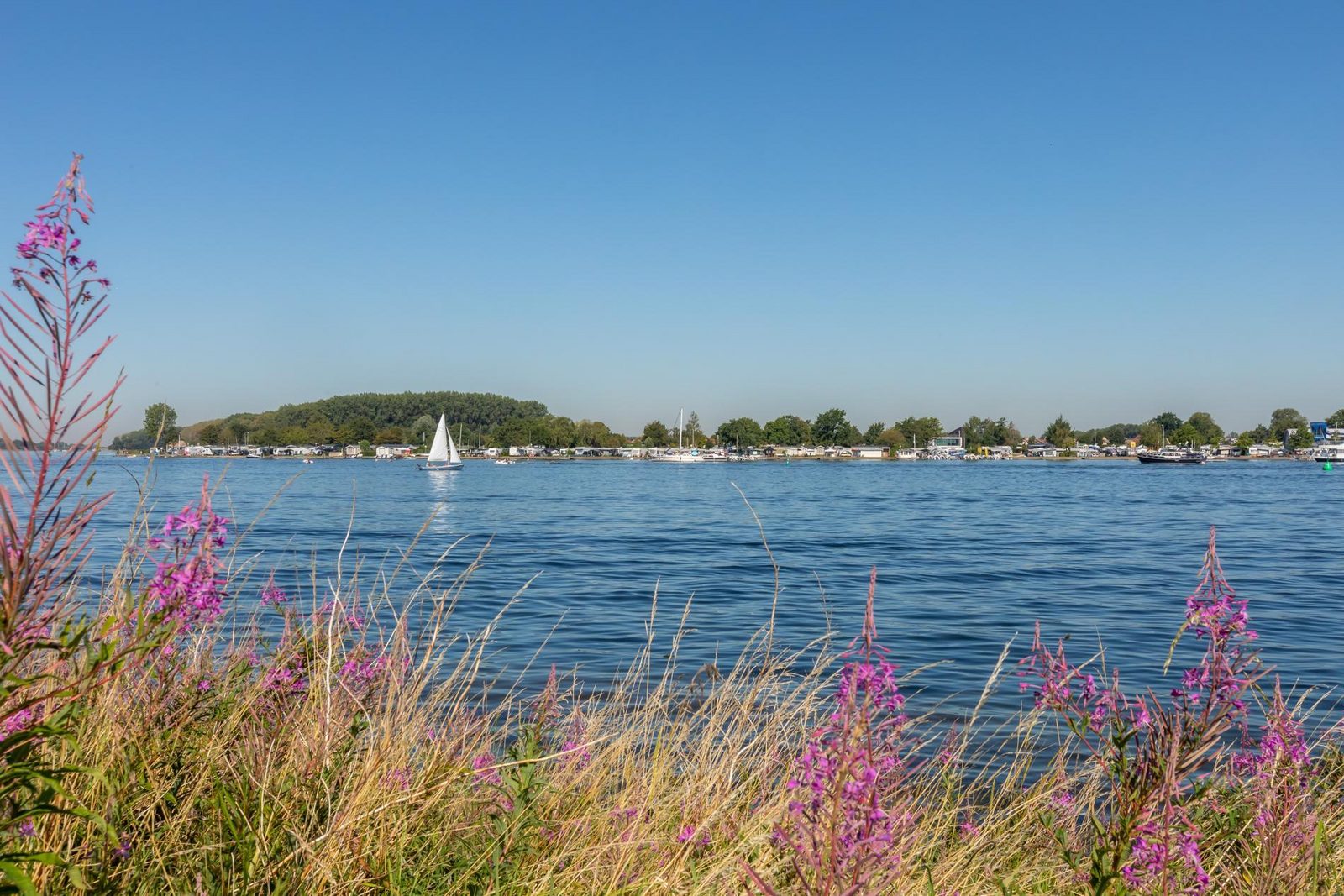 Holidayhouse - Inlaag 31 | Wolphaartsdijk