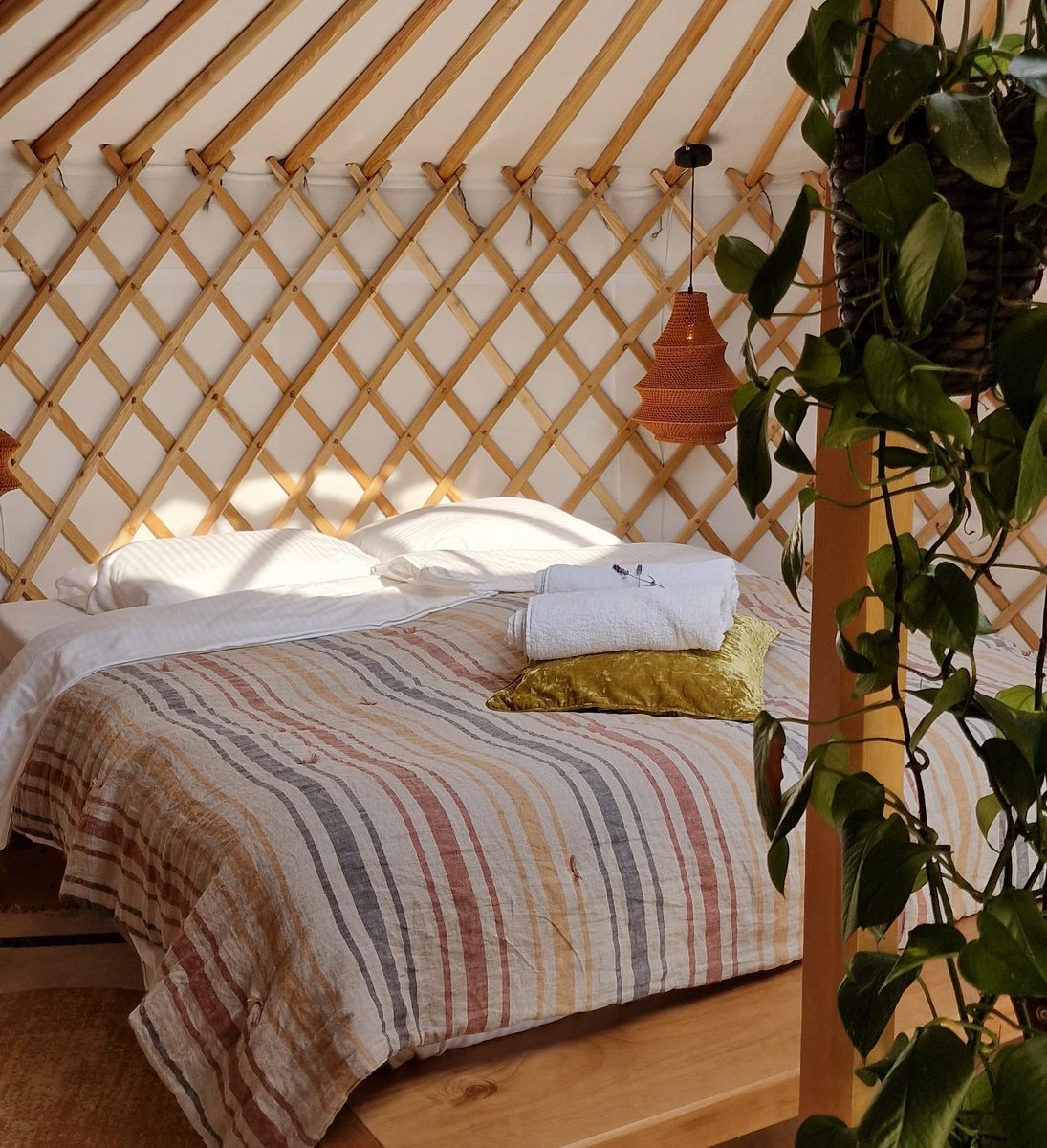 Mongoolse Panorama Yurt