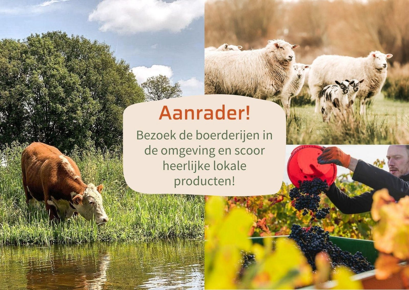 Buitenplaats Holten - Terrace lodge | 2 personen