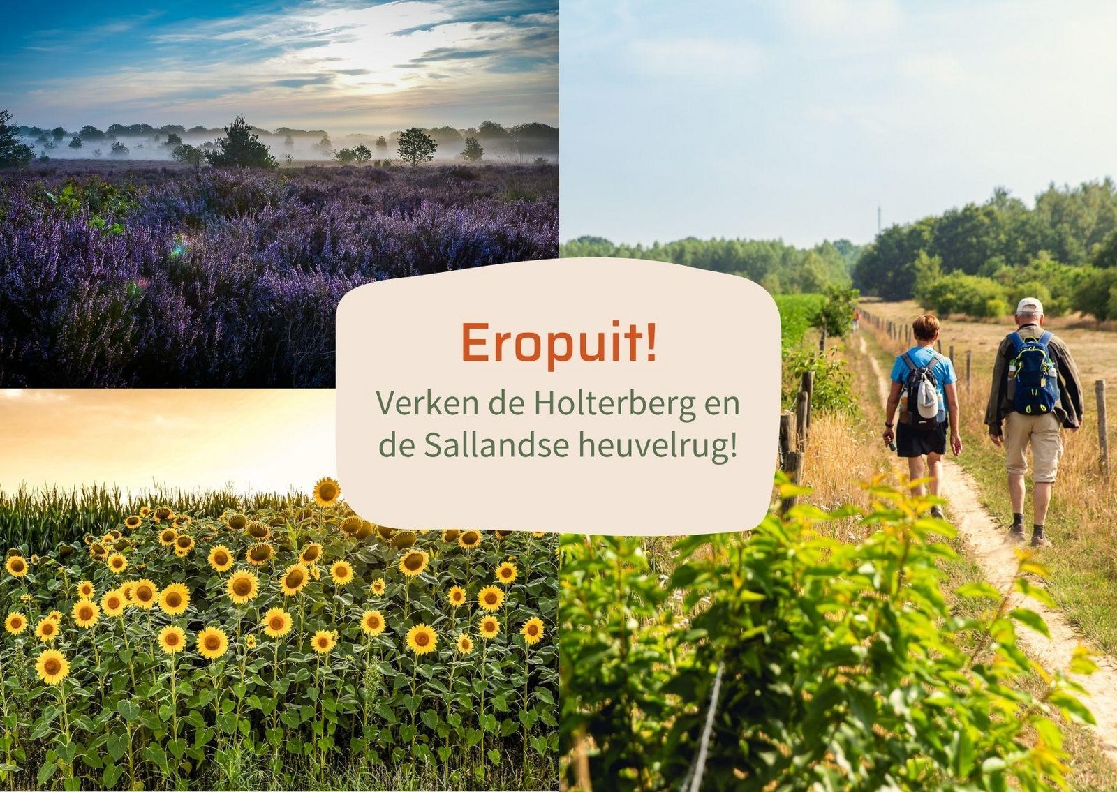 Buitenplaats Holten - Terrace lodge | 2 personen
