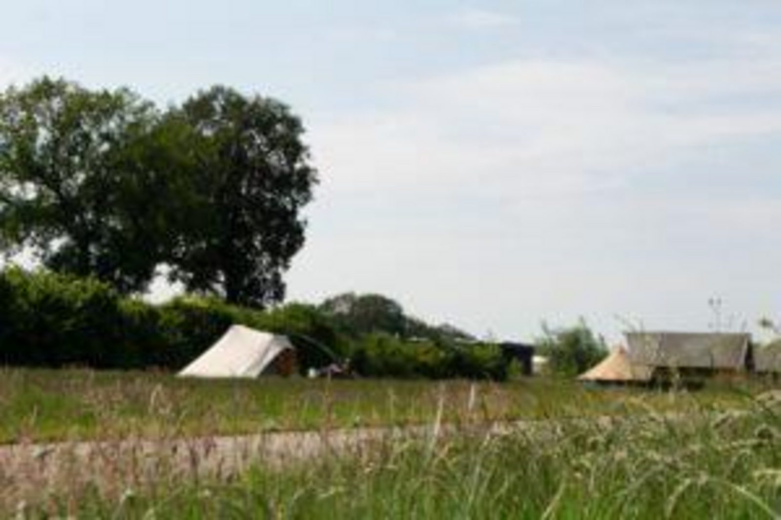 Tentplaats zonder elektra