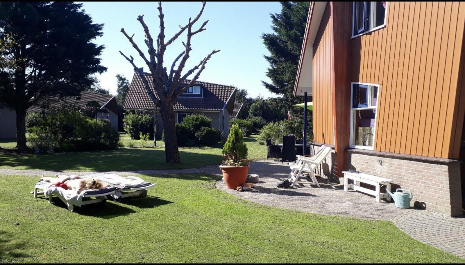 De Witteberg 446