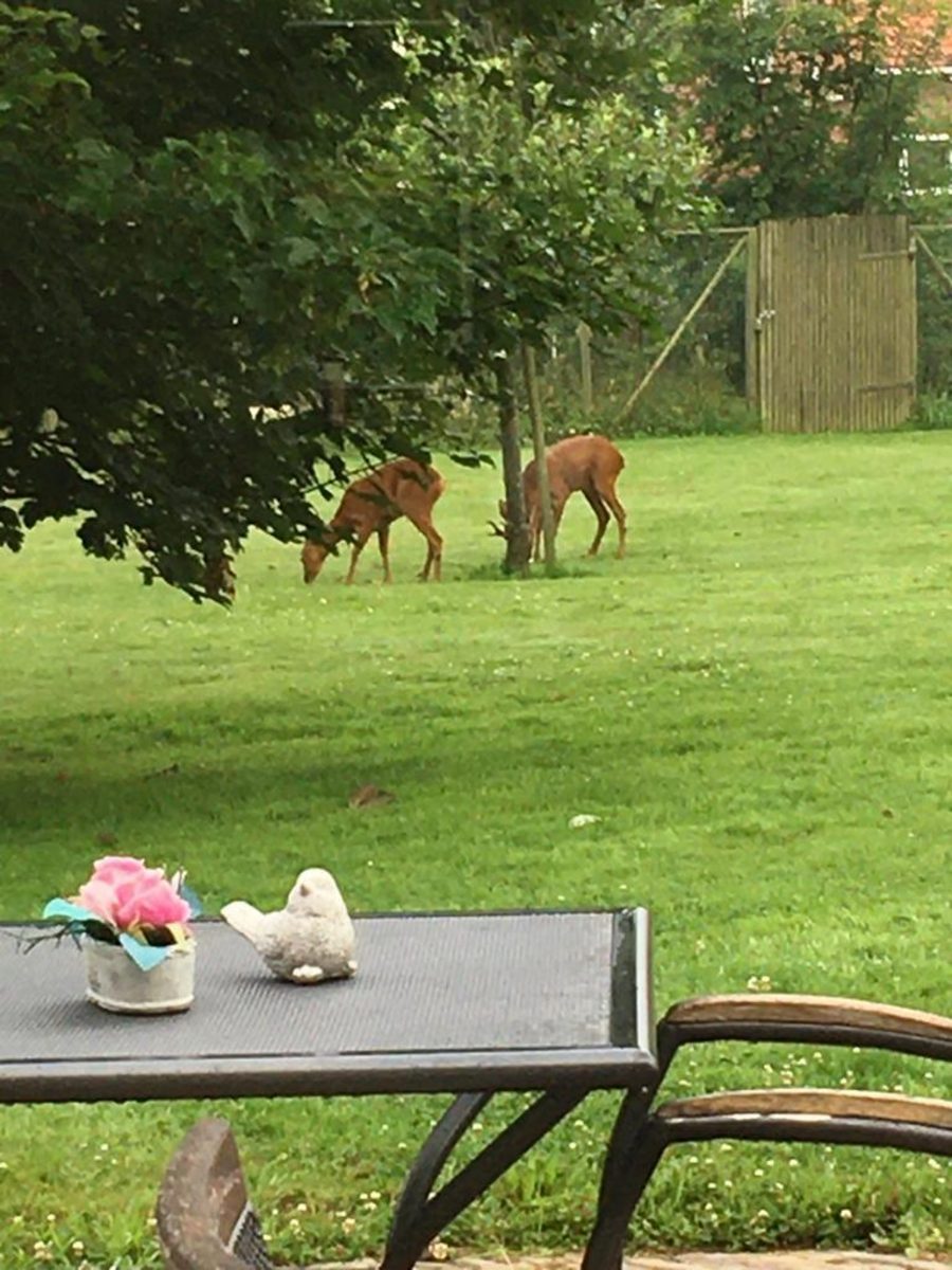 Vakantiehuis 't Boerderietje