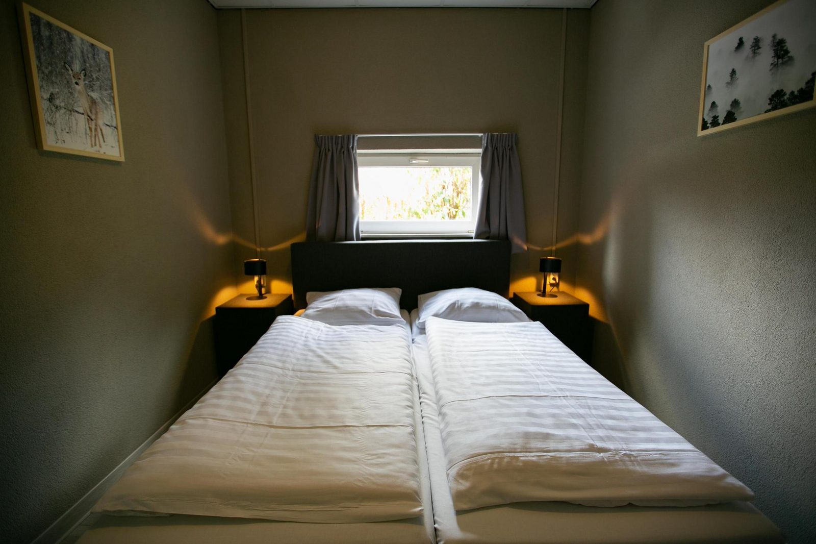 Schipbeek Bungalow | 6 Personen
