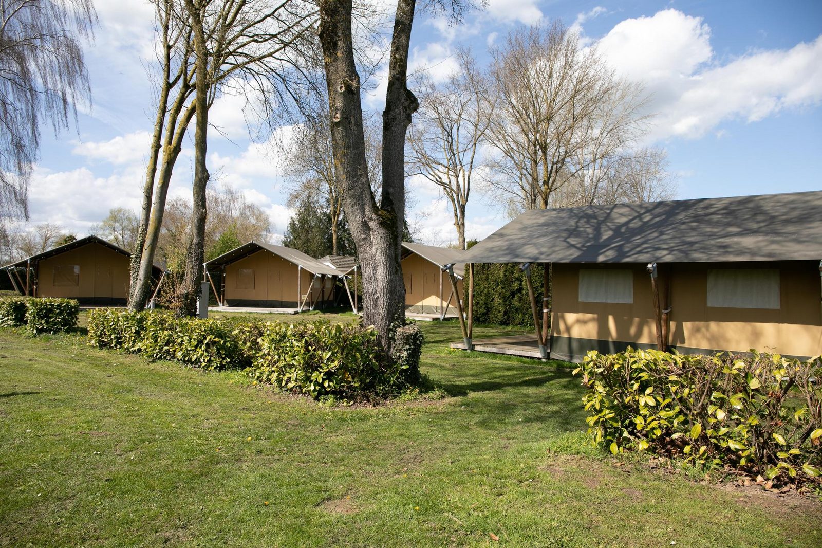 Safari Tent | 6 persons