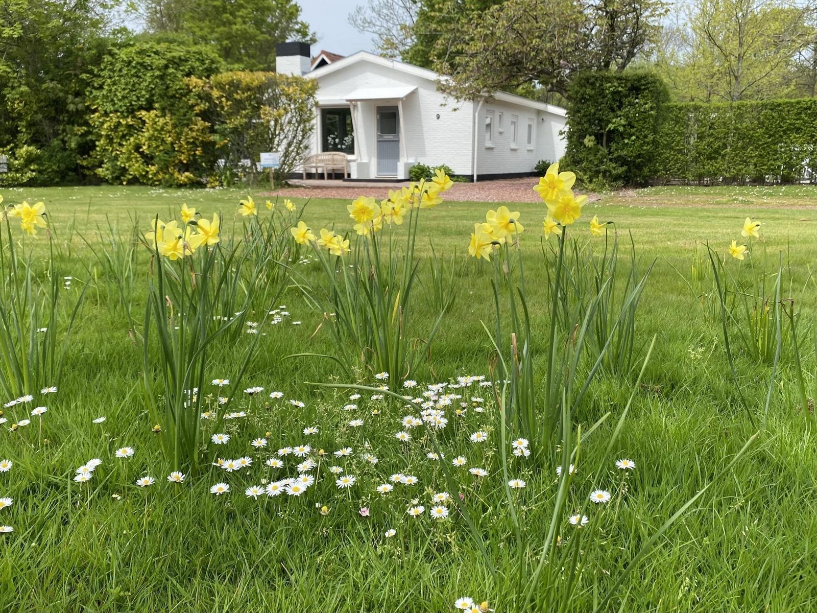 VZ984 Ferienbungalow in Oostkapelle