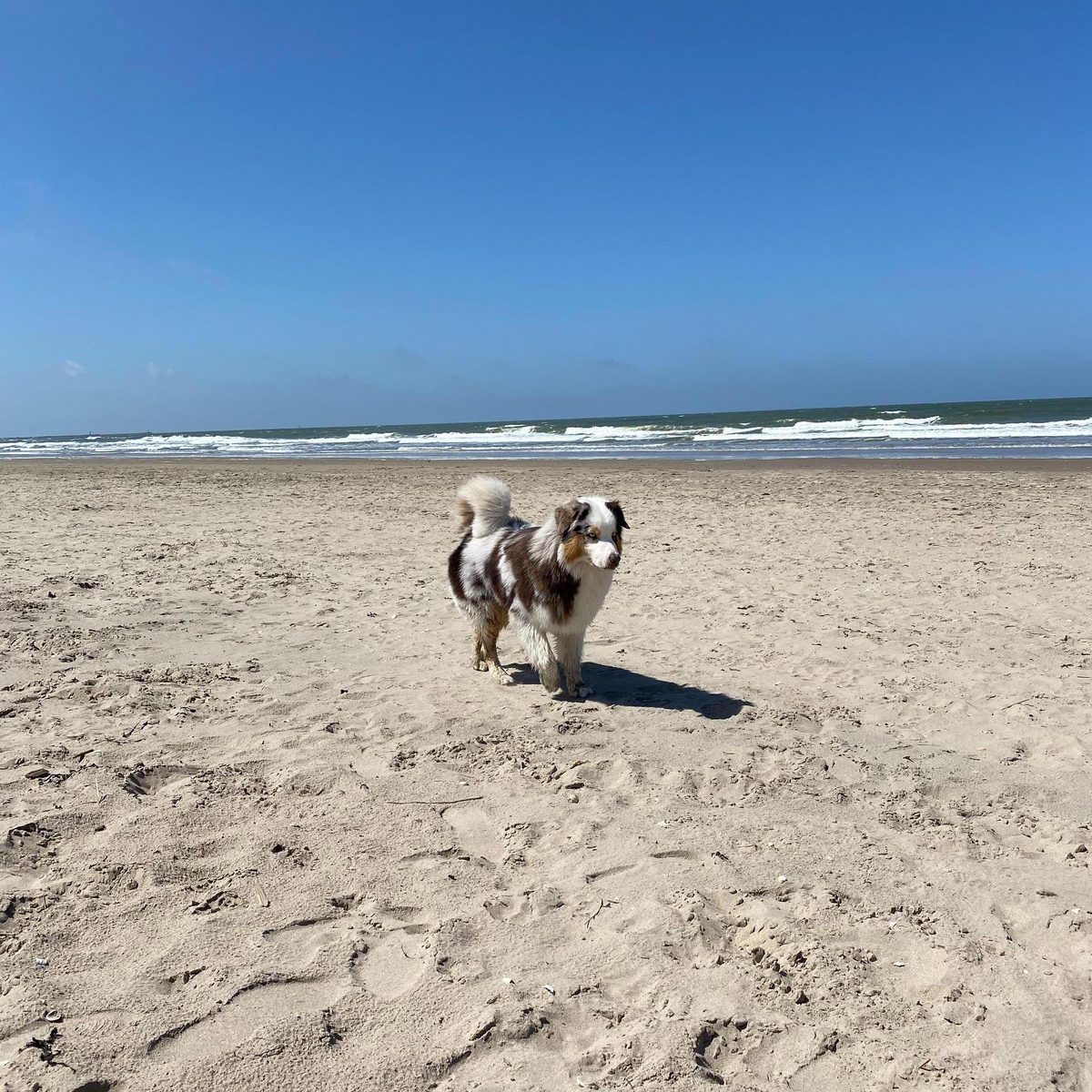 Tussen Duin en Strand
