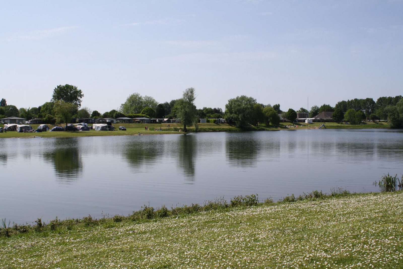 Fish island pitch