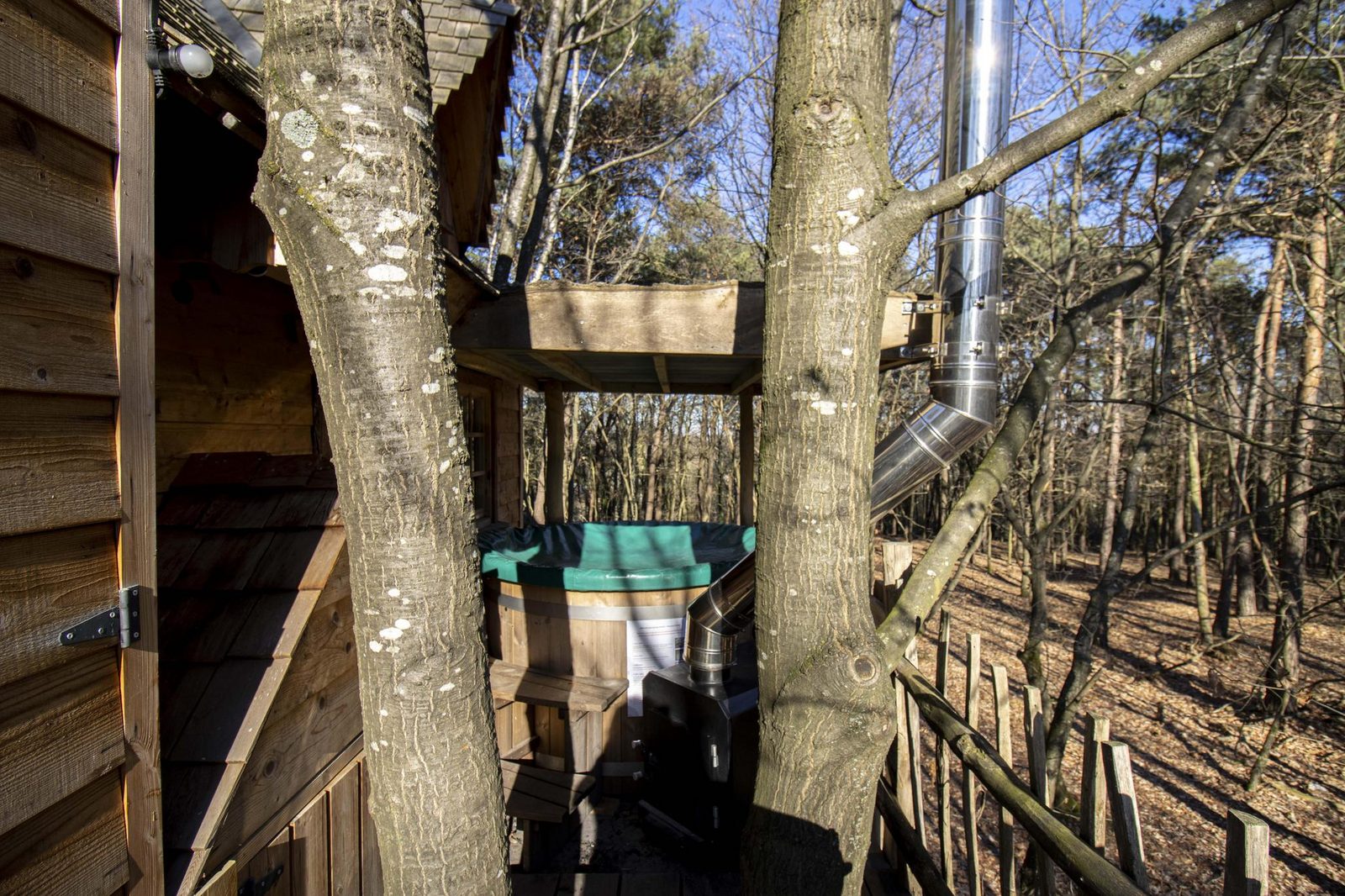 Tree House 2