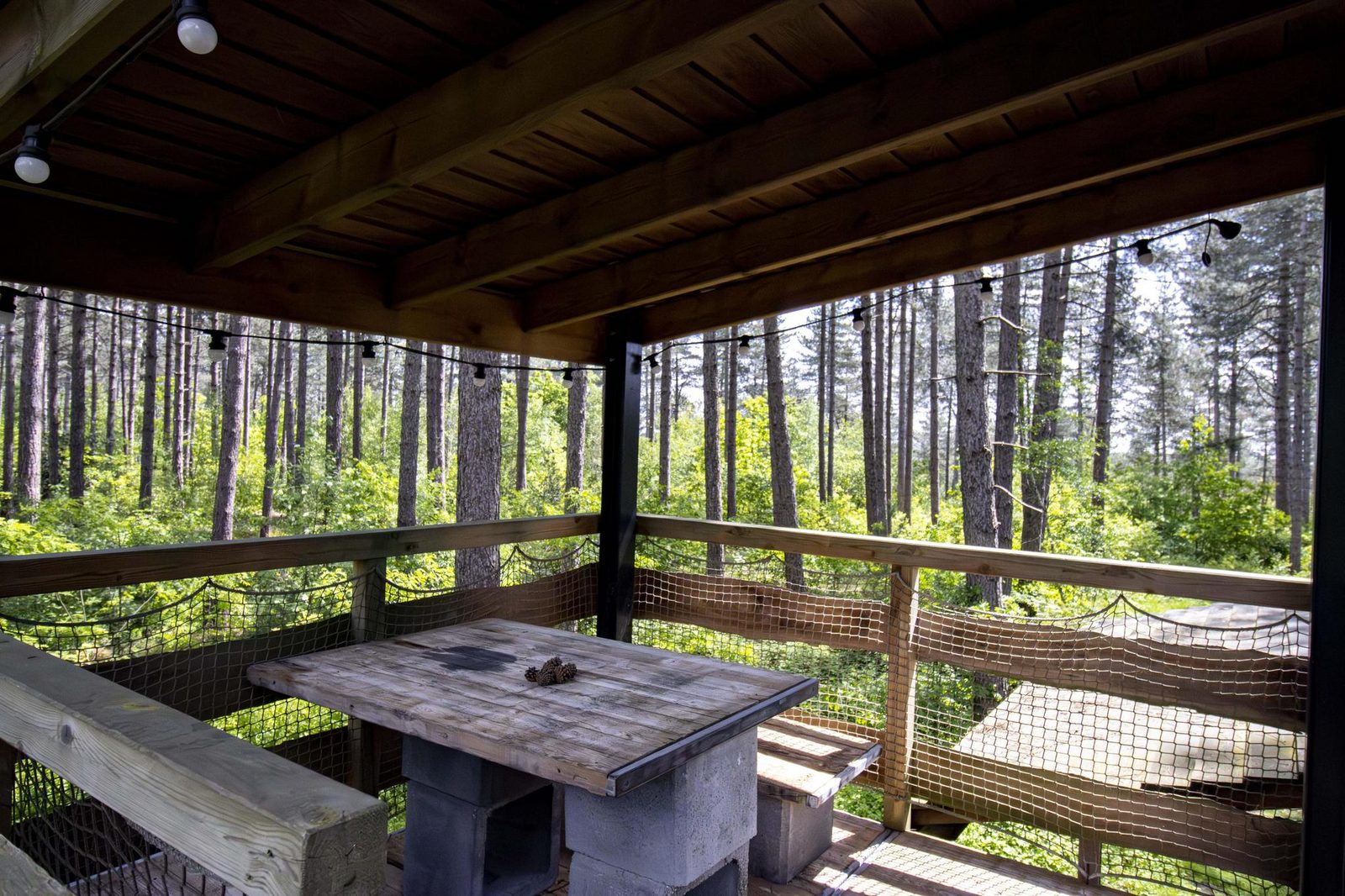 Treetrunk with hot tub