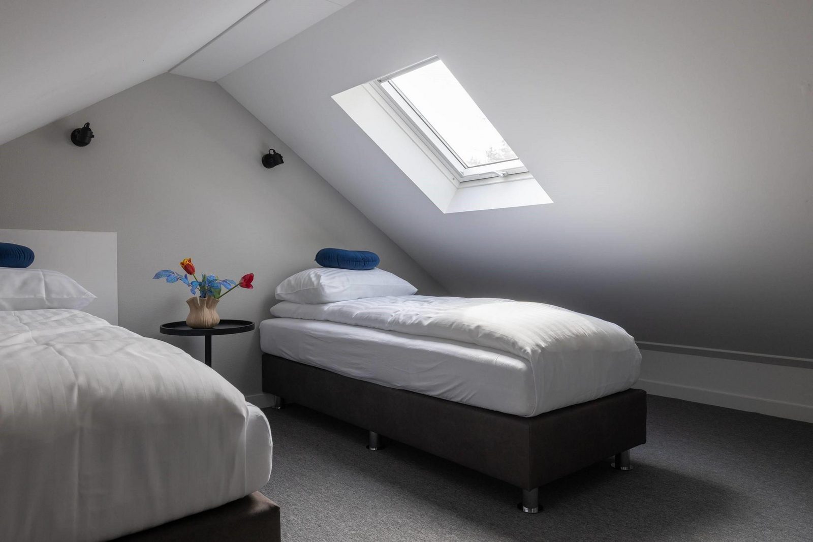 Ecovilla Waterzicht Wellness | 6 personen 