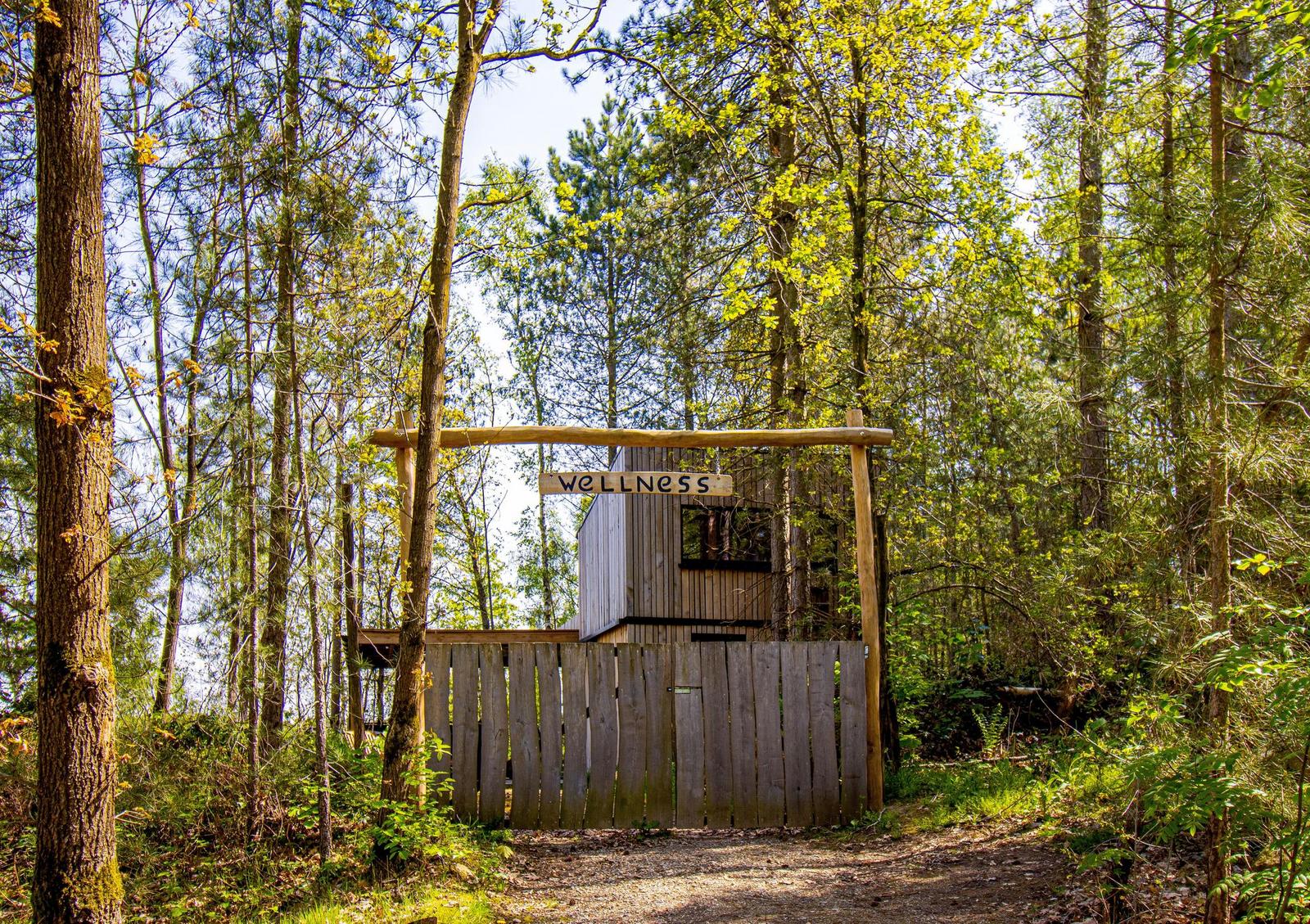 Treetop met hottub