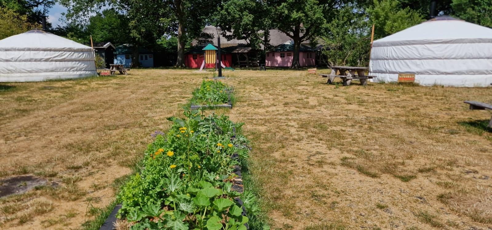 Mongoolse Panorama Yurt