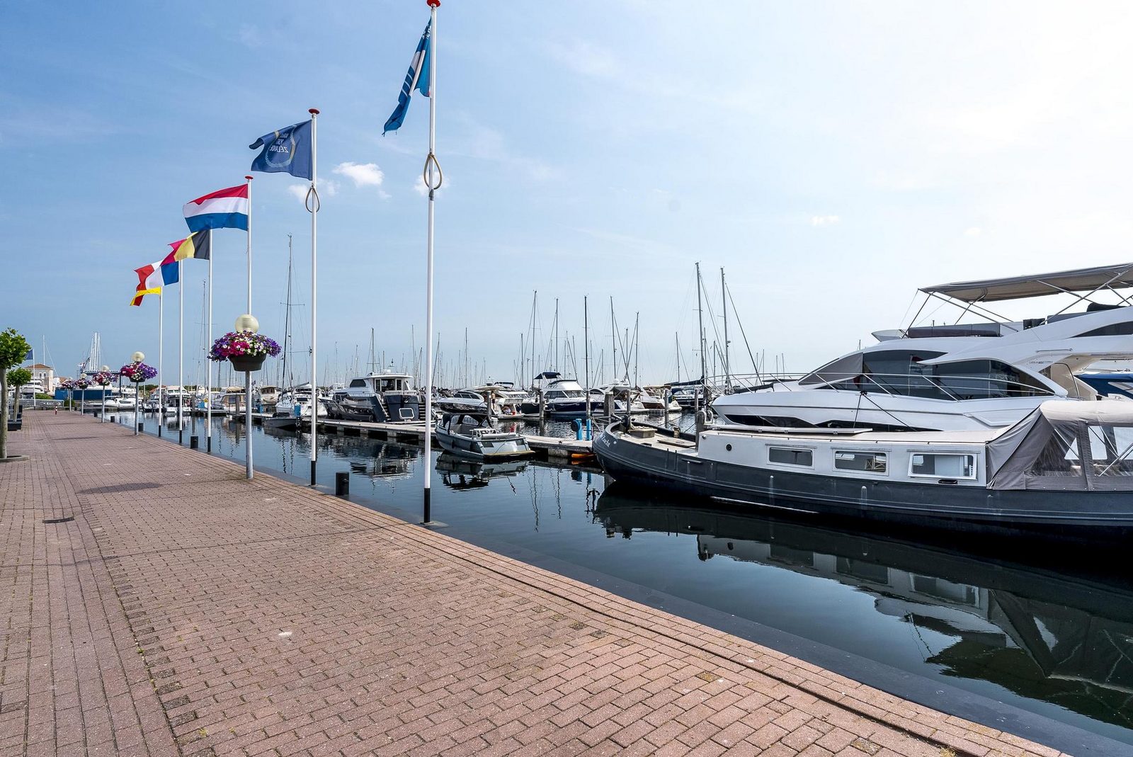 Kabbelaarsbank 503 - Port Marina Zélande