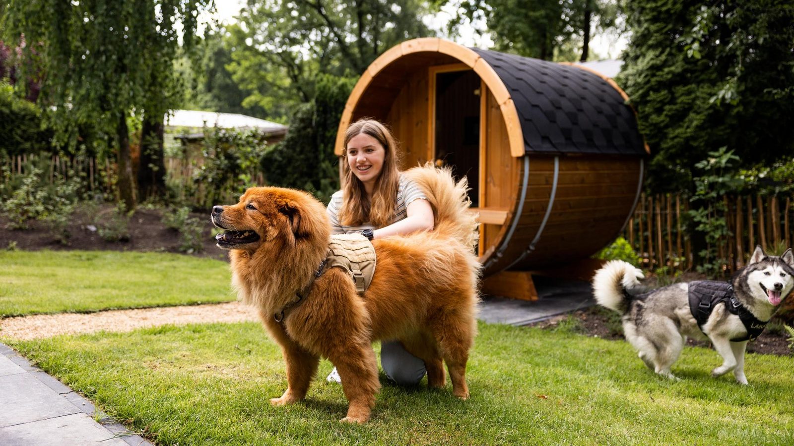 Birke Lodge Eco für 4 Personen
