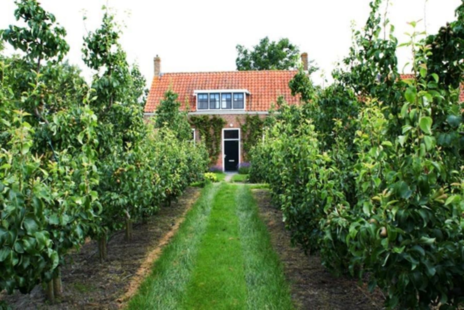 VZ2329 Vakantiehuis in Oostkapelle