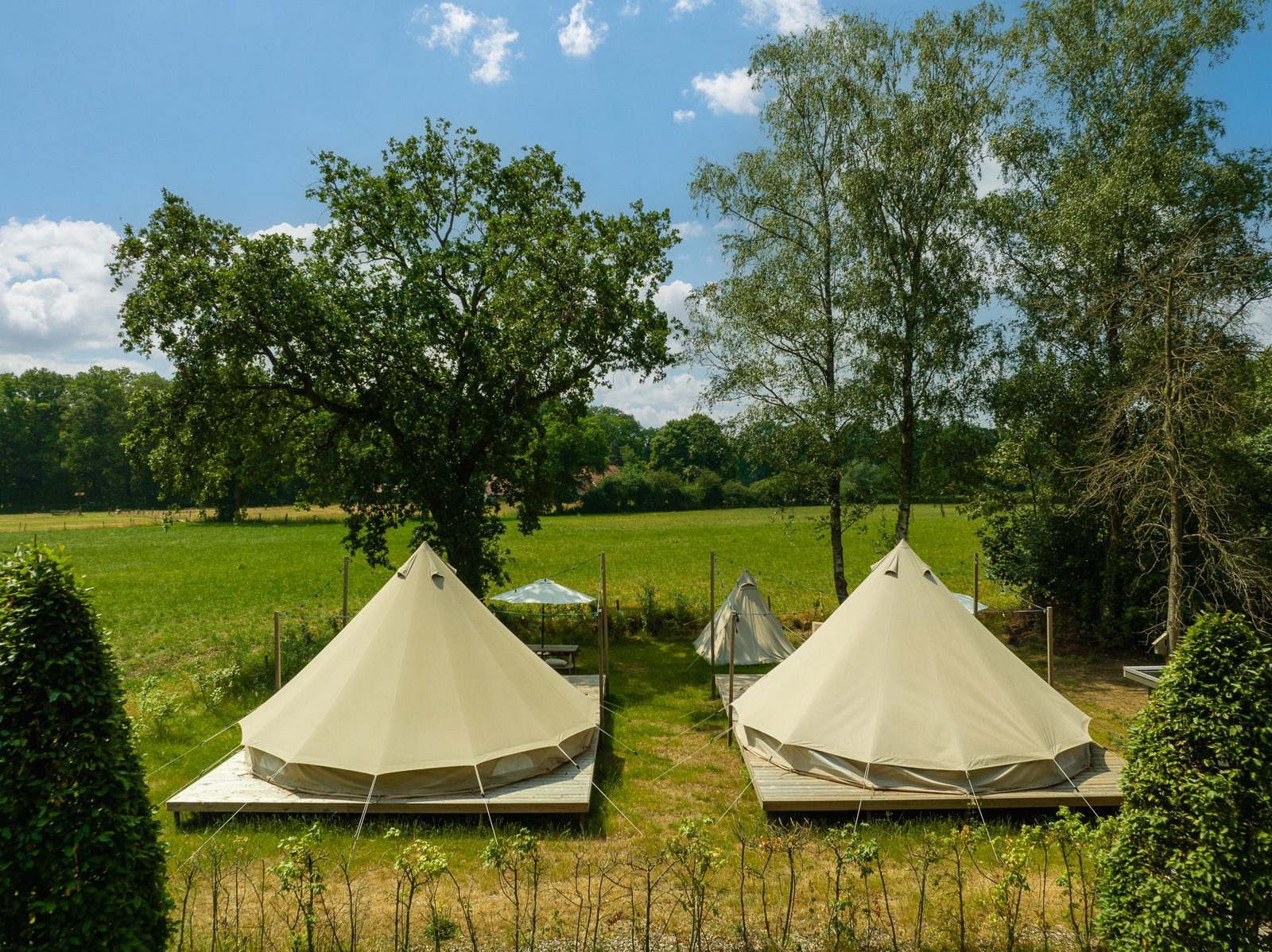 Blij in de wei tent met privé sanitair | 2-4 personen