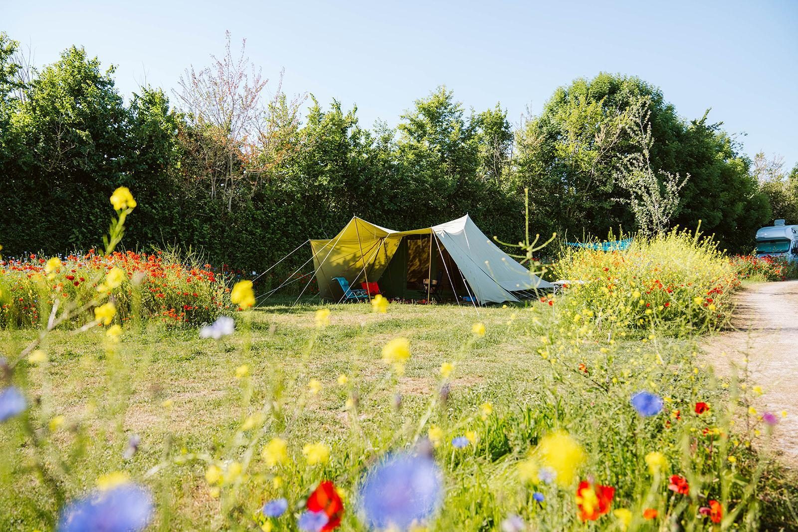 🏕️ Kamperen Groene Veld