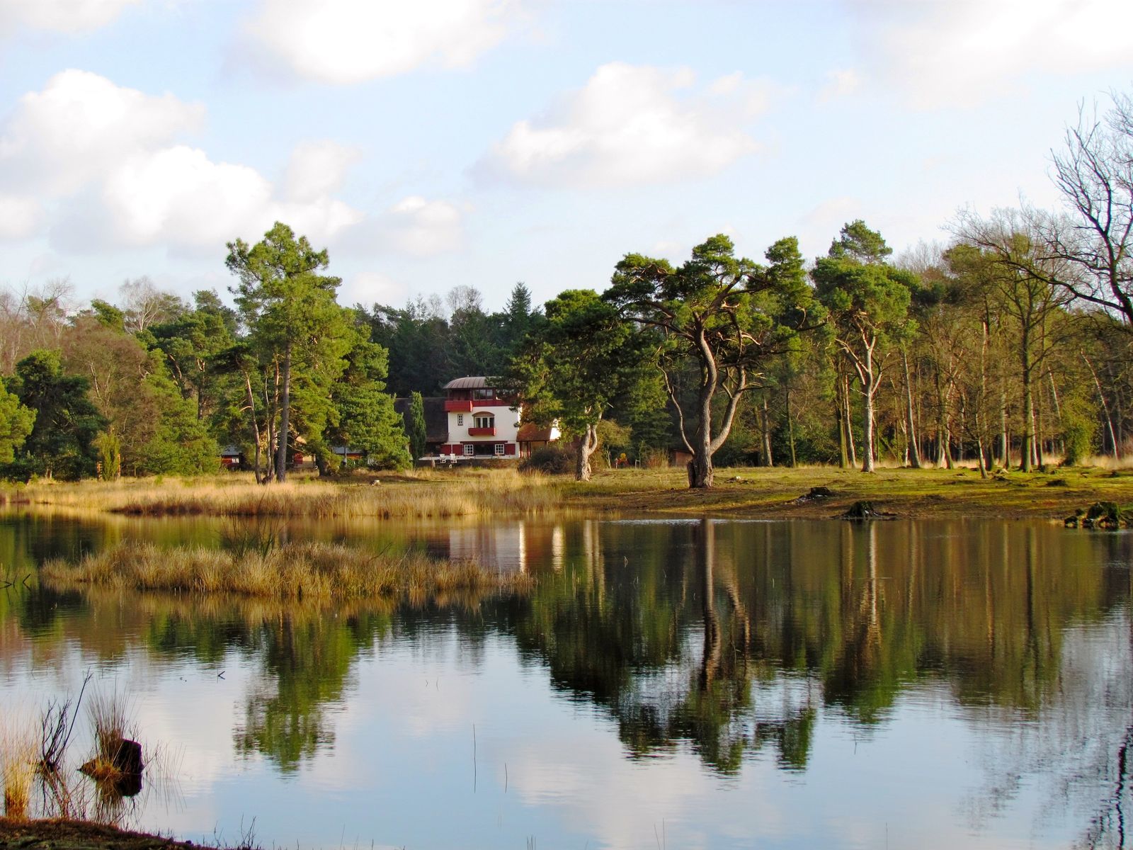 Buitenplaets de Heide Woonhuis I voor actieve gezinnen 