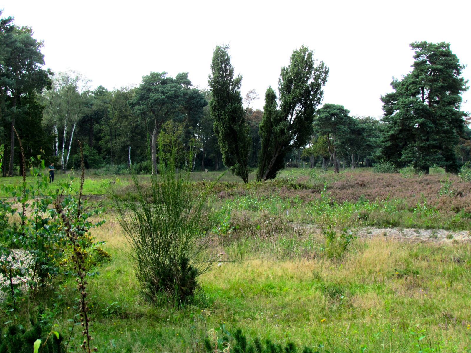 Buitenplaets de Heide Woonhuis I voor actieve gezinnen 