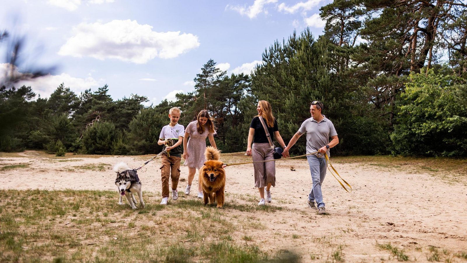 Veluwe Lodge für 4 Personen