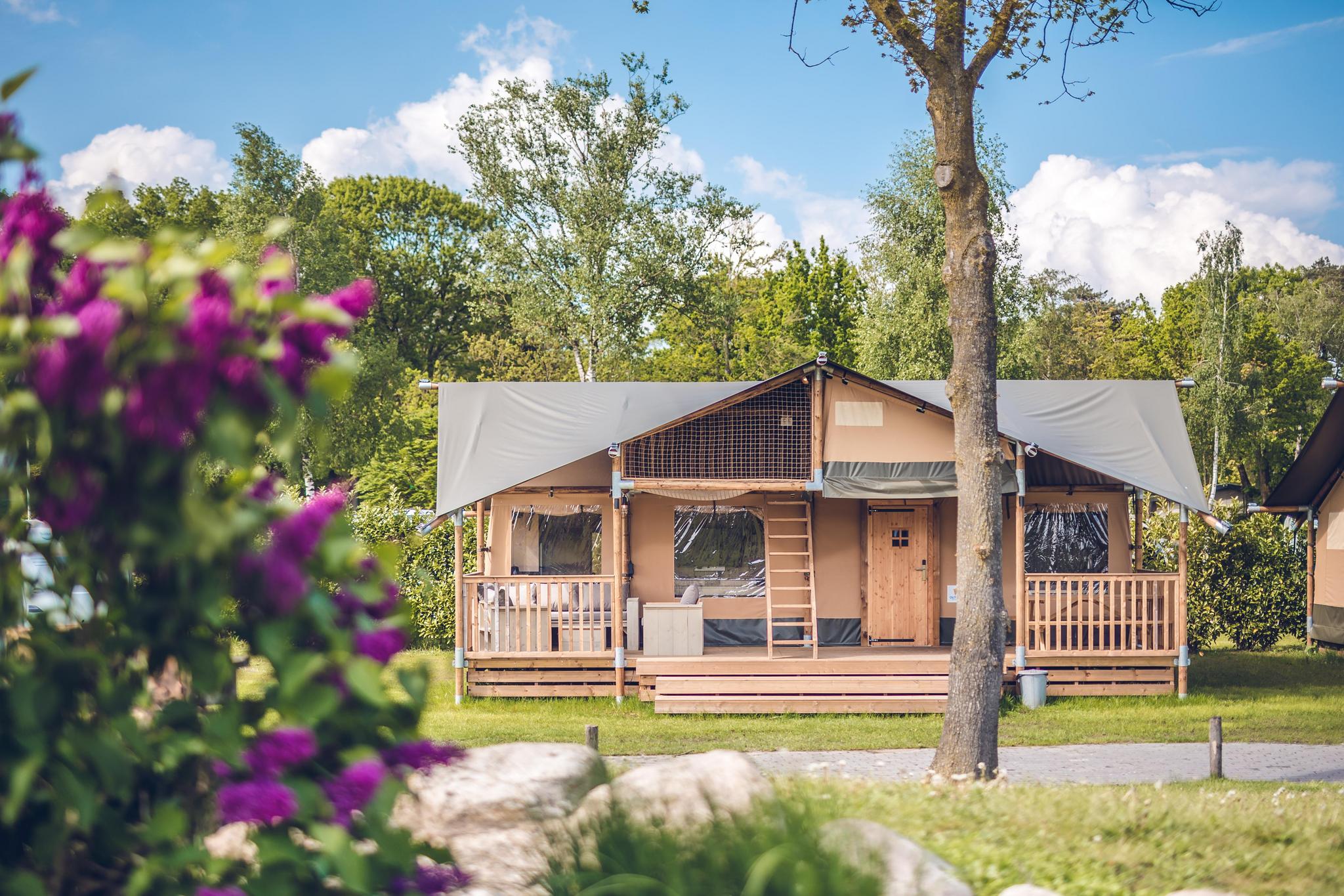 Safari-Zelt 'Edelhert' | 2 - 8 pers