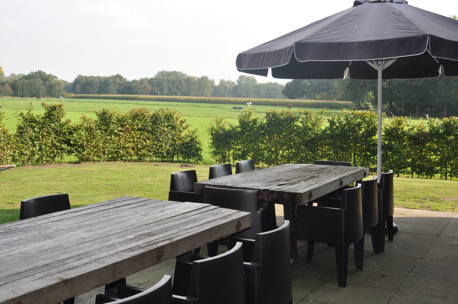 Vergezicht groot en luxe vakantiehuis in Brabant