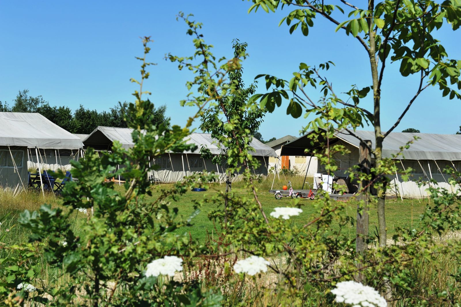 Twentse Buitenleven - Familie lodgetent I luxe kamperen 