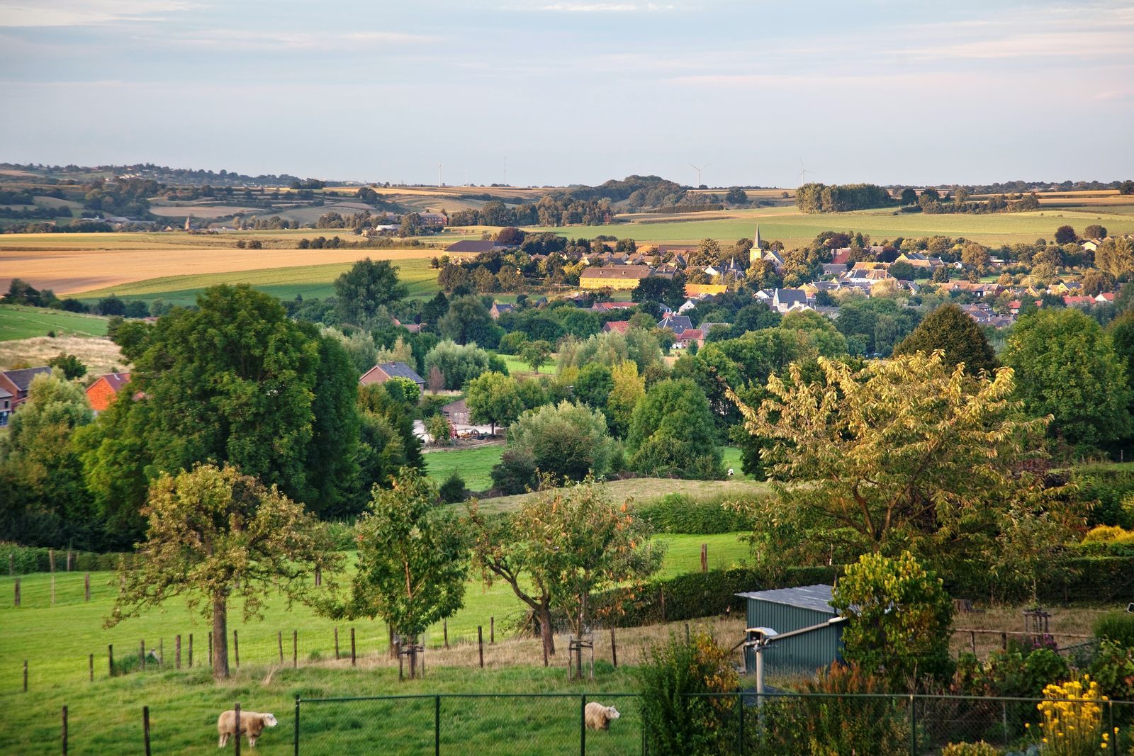 Carrehoeve A Gen Beuke I vakantiehuis met zwembad in Limburg