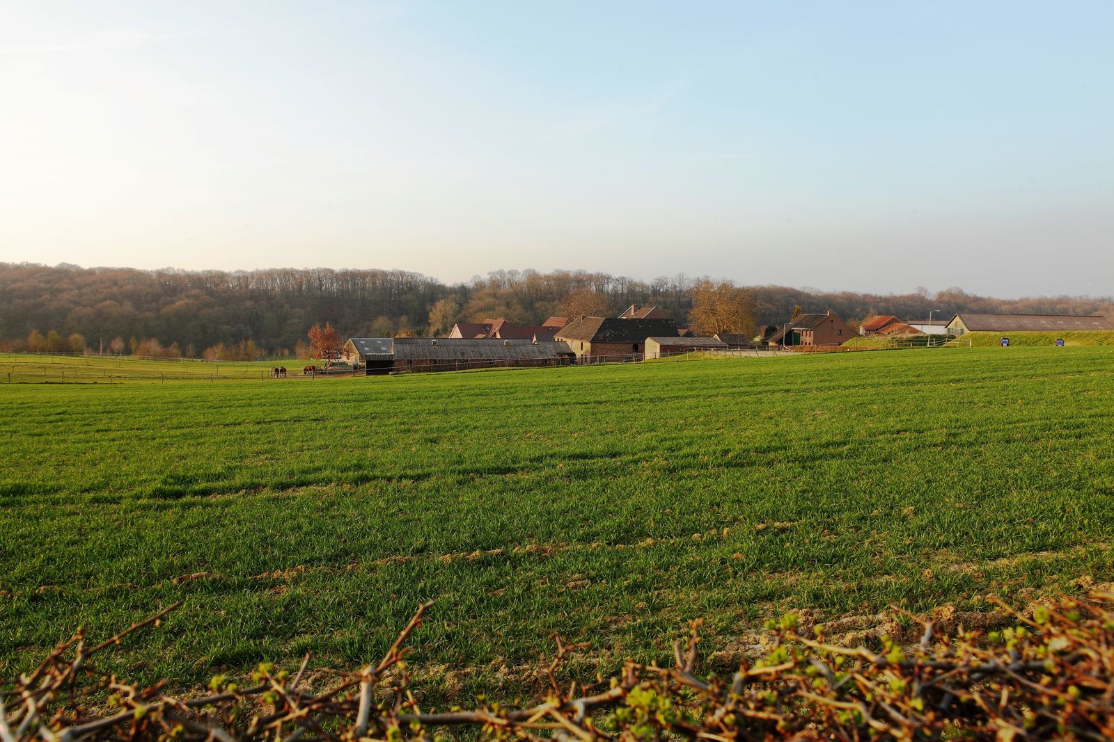 St. Geertruid Mirabelle I luxe vakantiehuis met sauna in Limburg