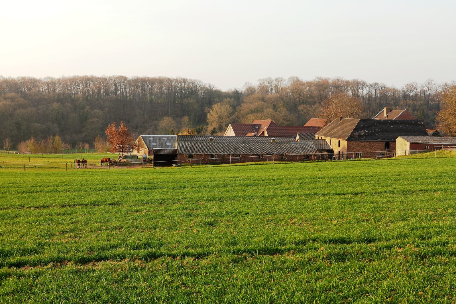 Landgoed St. Geertruid Legipont I wellness vakantiehuis