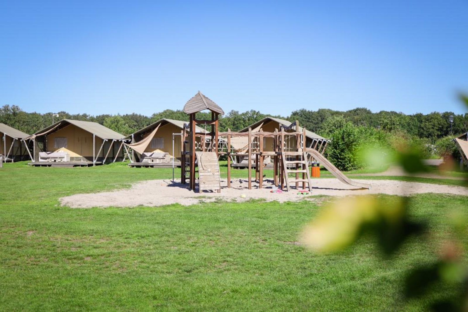 Luxe Safaritent | 6 personen