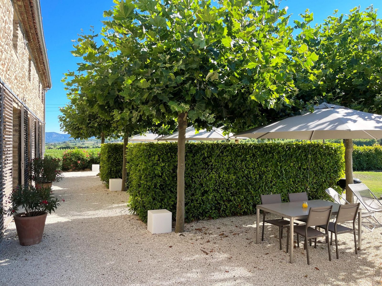 Domaine la Vigne - luxe gîtes in de wijnregio Minervois