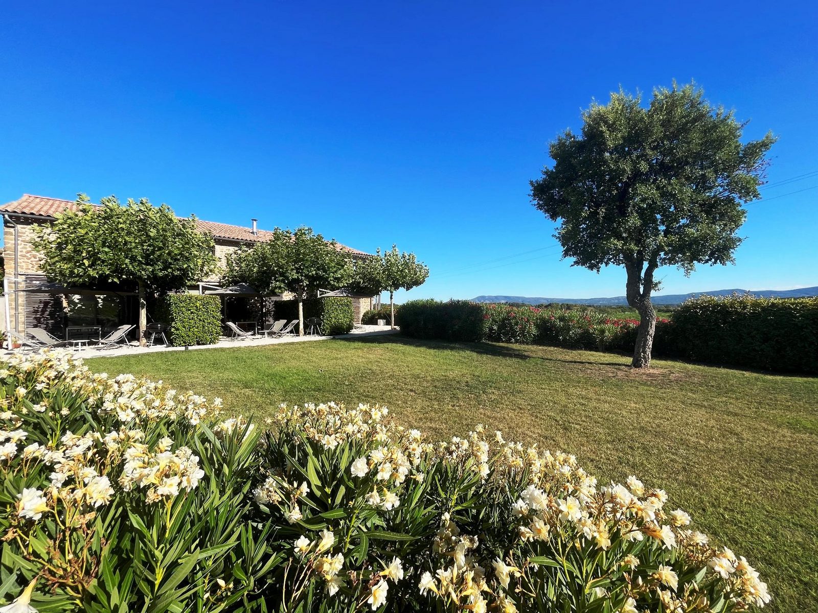 Domaine la Vigne - luxe gîtes in de wijnregio Minervois