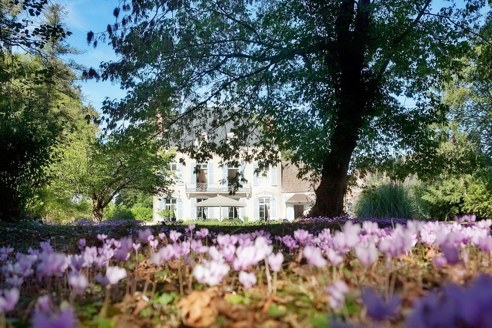 Château le Kastel - luxe kasteelvakantie Frankrijk