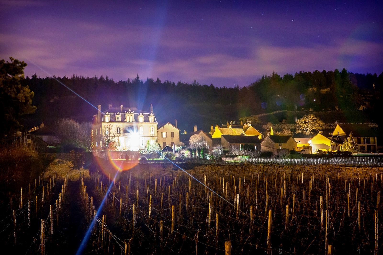 Château Christophe Bourgogne - kasteelvakantie Frankrijk