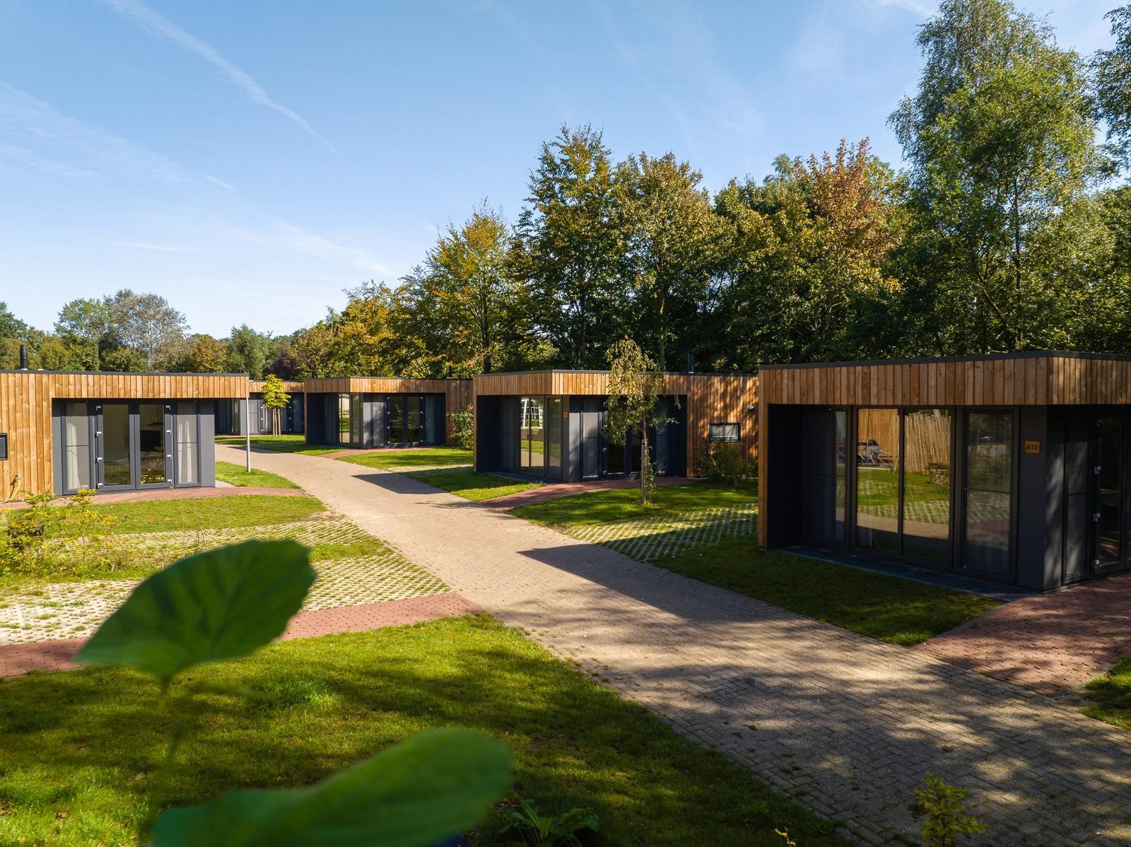 Happy Oak Lodge | 4 personen