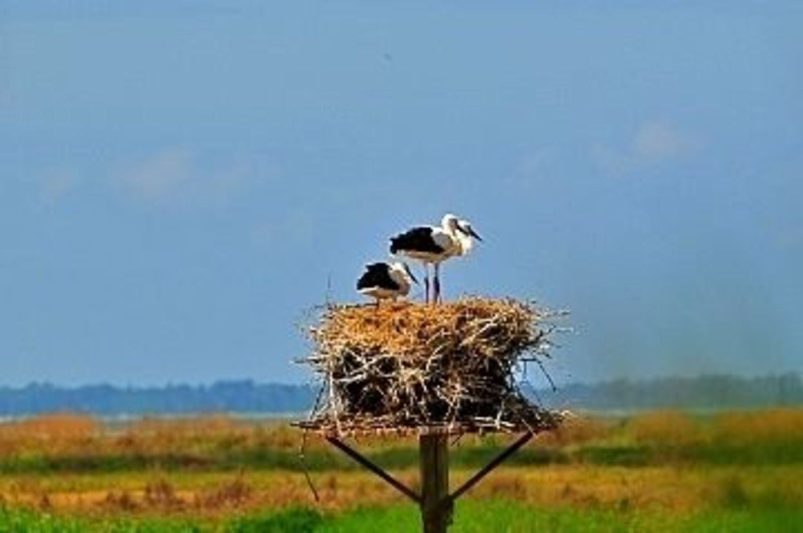 Domaine les Marées - 4. Au Rythme des Marées I kleinschalig
