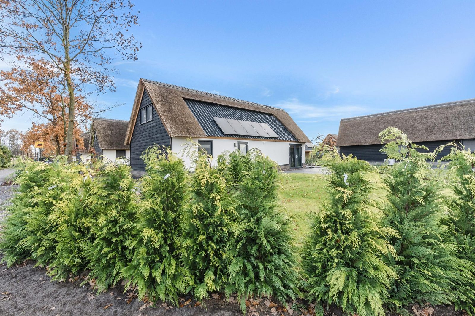 Farm Lodge 677
