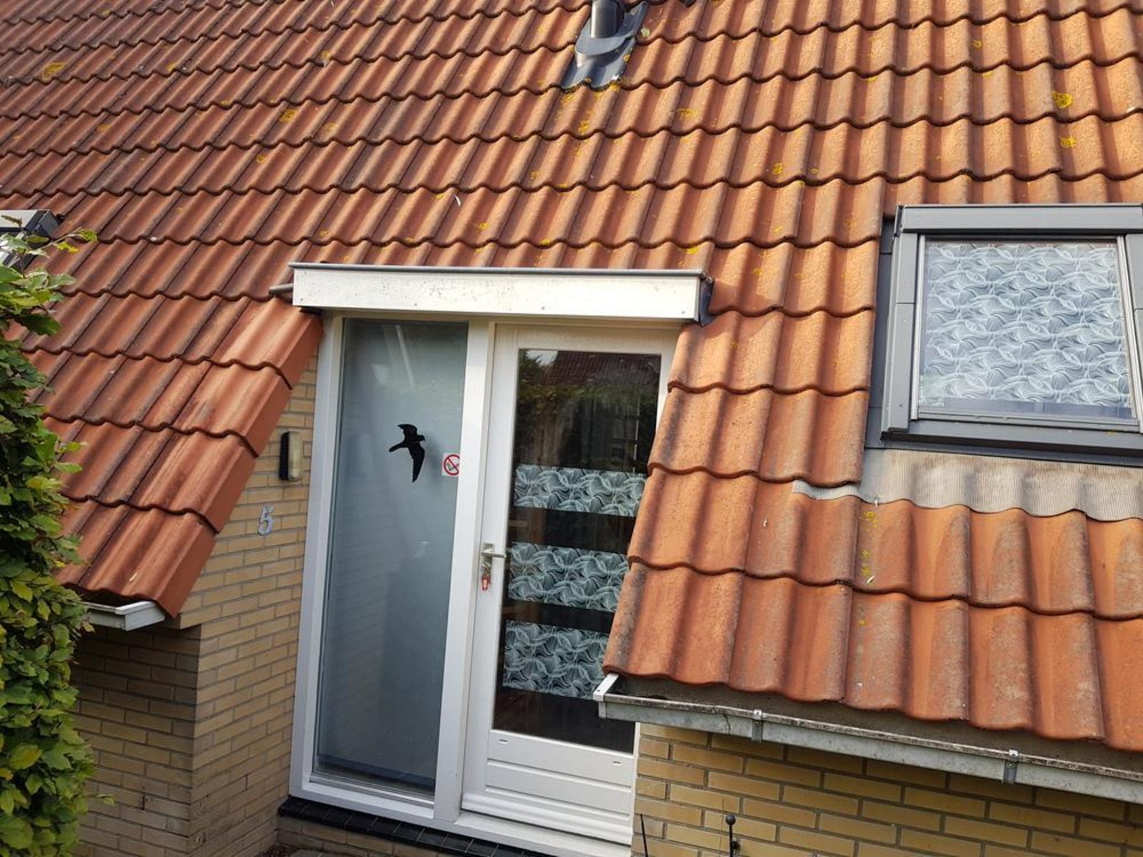 Vogelvrij 5