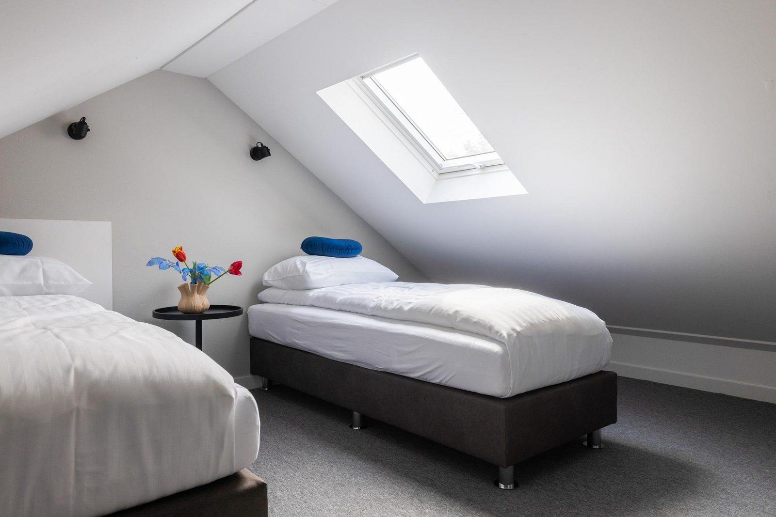 Ecovilla Waterzicht | 6 personen 