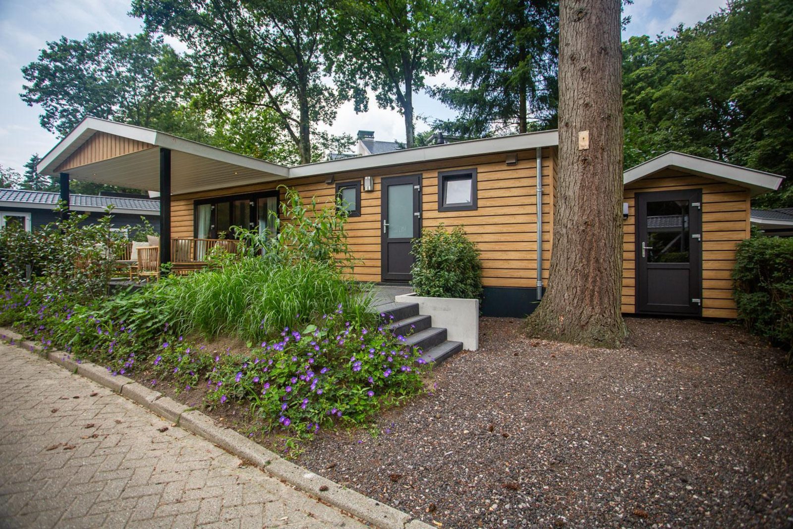 Heuvelrug Cottage | 4 persons
