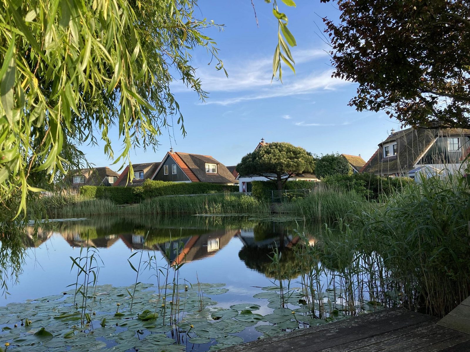 Buitenplaats 47