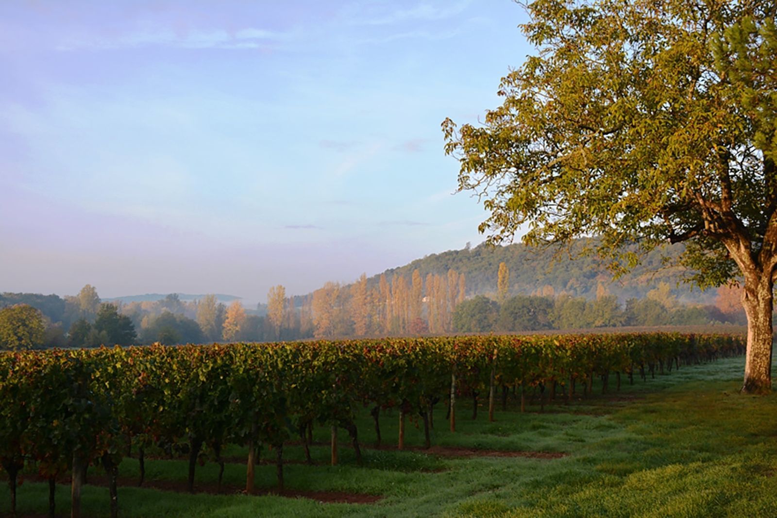 Chateau Prayssac - A kleinschalig vakantiepark met zwembad