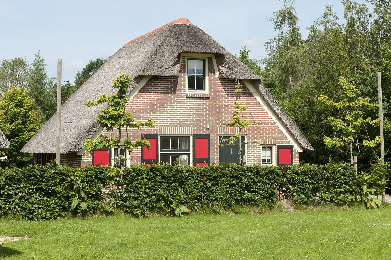 In dit landelijke rietgedekte vakantiehuis voor 6 personen heeft u gelijk de vakantiestemming te pakken!