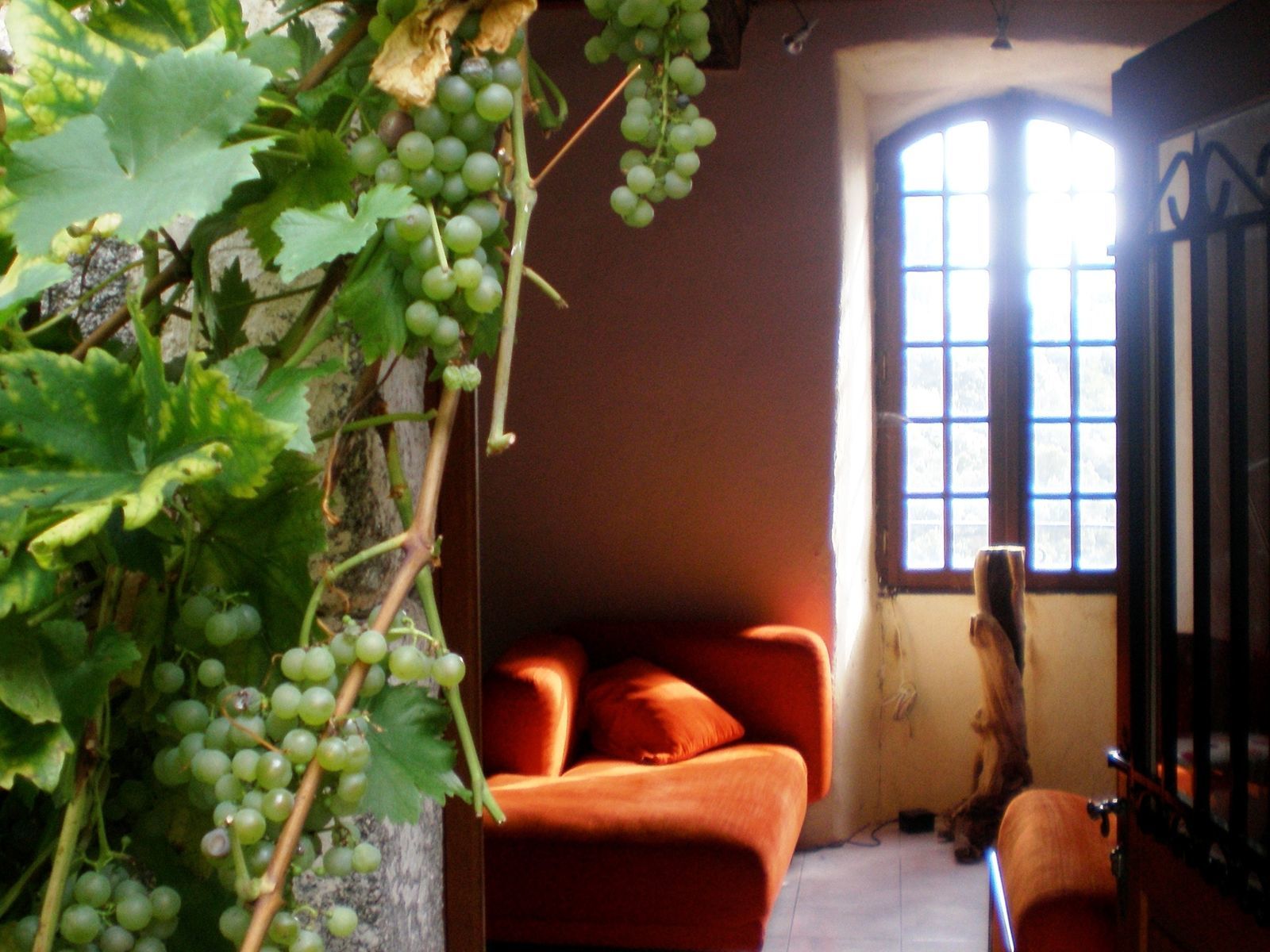 Cevenolse Mas gîte Verdier - vakantie middenin de natuur