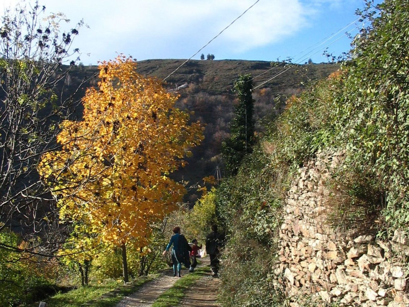 Cevenolse Mas gîte Donzel - vakantie voor natuurliefhebbers
